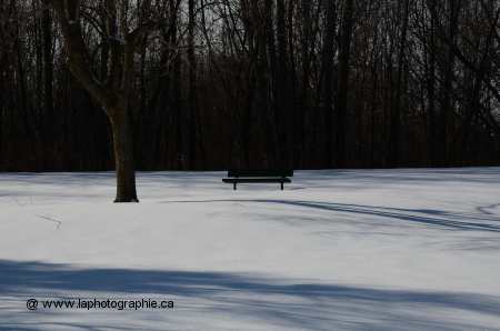 Photo d'hiver ensoleillé prise normalement qui est sombre